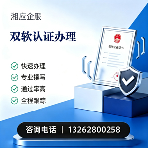 抚州双软认证申报服务