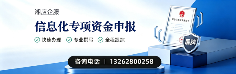 抚州信息化专项资金申报服务