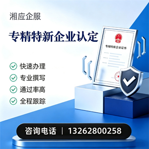 抚州专精特新企业申报服务