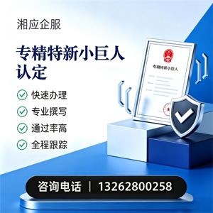 抚州专精特新小巨人申报服务