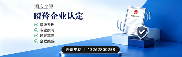 抚州瞪羚企业认定申报服务