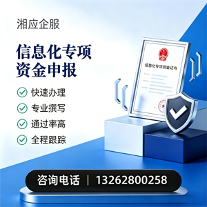 抚州信息化专项资金申报服务