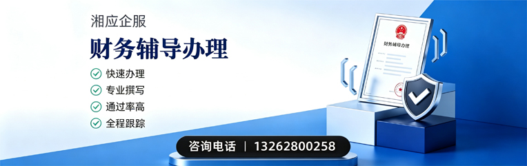抚州财务辅导申请服务