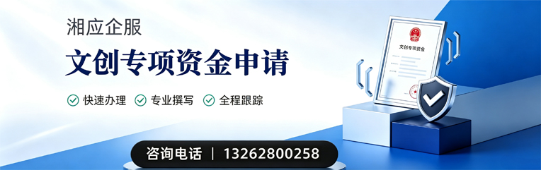 抚州文创专项资金申报服务