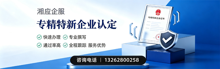 抚州专精特新企业申报服务