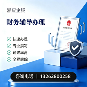 抚州财务辅导申请服务