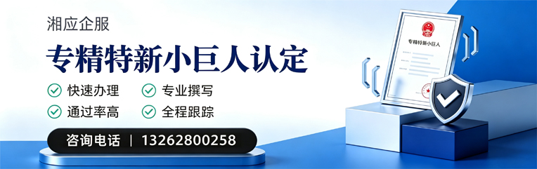 抚州专精特新小巨人申报服务